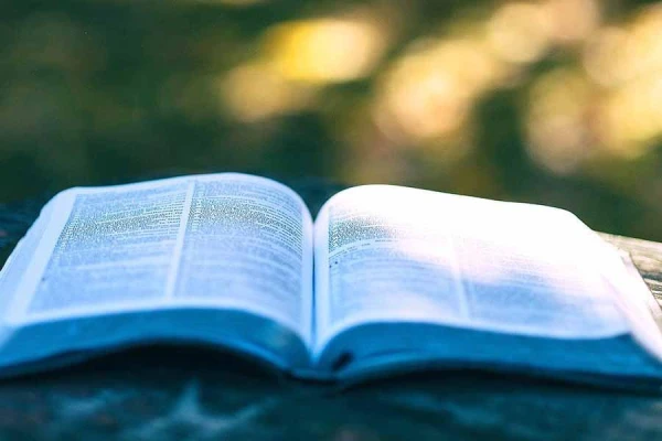 Изображение к статье: Пословицы и поговорки: истинное звучание известных народных изречений