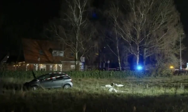 В Нидерландах автомобиль въехал в толпу