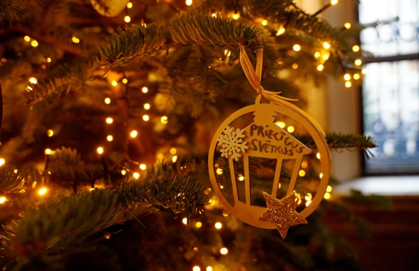 На Новый год и в январе прогнозируют снег и морозы