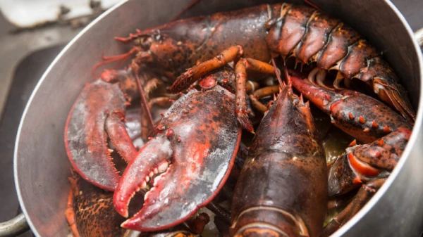 Изображение к статье: Вероятно, в Лондоне вспомнили мультик про Губку Боба.