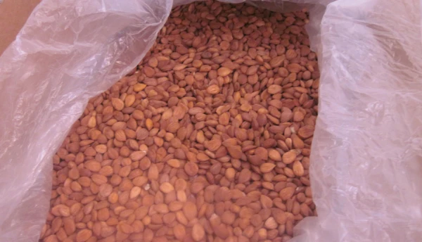 Изображение к статье: Фото ПВС.