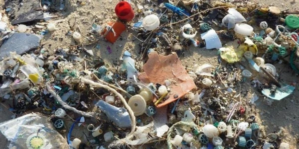 Какой способ лучше: выбрасывать пластиковую упаковку или сжигать?