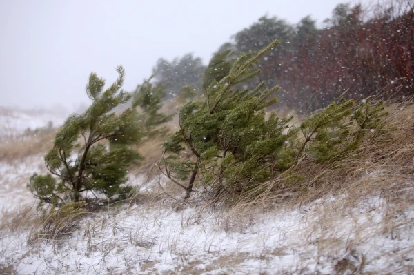 Изображение к статье: На Латвию идет ураганный ветер! Синоптики предупредили латвийцев