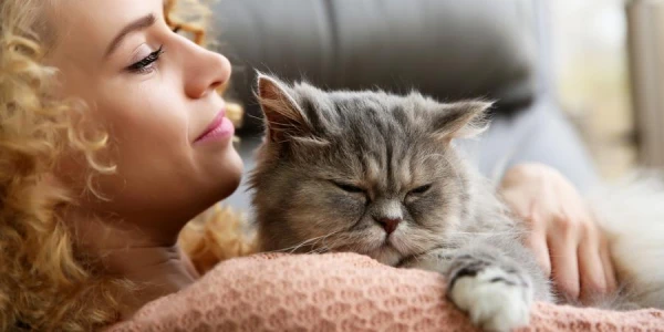 Изображение к статье: Почему кошкам и собакам нравится, когда их гладят?