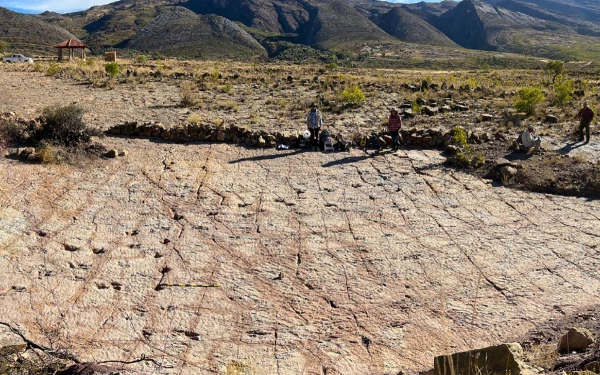 Изображение к статье: Теперь следы этих рептилий будут тщательно изучены.