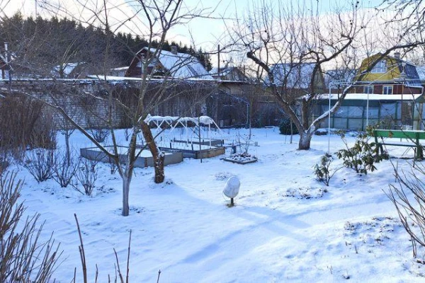 Изображение к статье: Как эффективно сохранить влагу на дачном участке