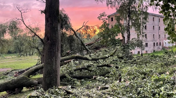 Изображение к статье: Стихия не утихает! Ураганный ветер продолжится - синоптики удивили прогнозом жителей Латвии