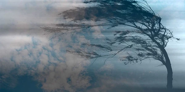 Изображение к статье: Да уж! Сильный ветер накроет Латвию и в понедельник - синоптики предупредили жителей