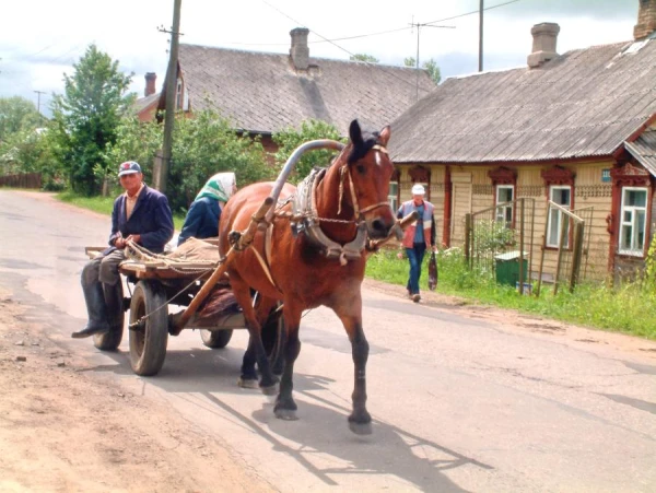 Изображение к статье: В Латгалии в поселках остались только старики - хирург