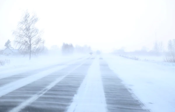 Изображение к статье: В Курземе свирепствует метель, порывы ветра у моря достигают 29 м/с. Во вторник снова ожидается сильный снегопад