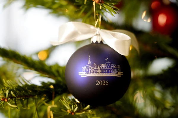 Изображение к статье: К концу недели обещают до 25 сантиметров снега, а Новогодняя ночь будет ну очень суровой