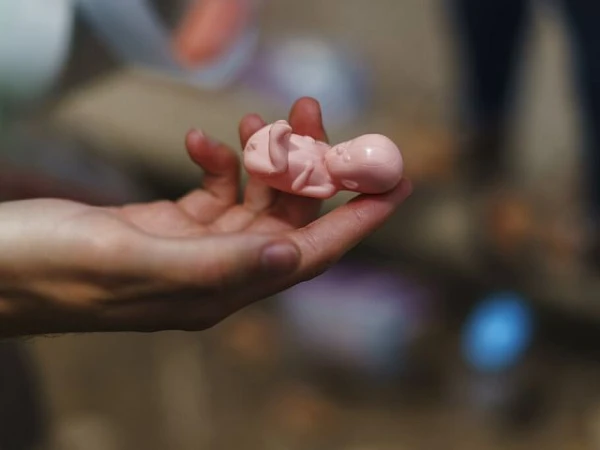 Изображение к статье: Исследователи смогли своего рода "услышать" химический диалог между эмбрионом и слизистой оболочкой матки.