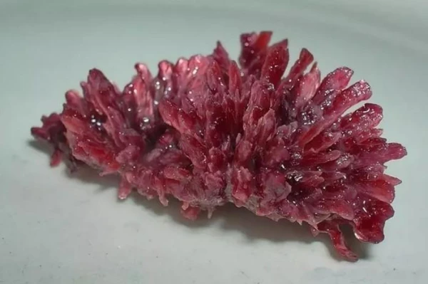 Изображение к статье: Что такое винный камень и как его используют?