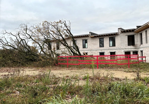 Прокуратура оспаривает отказ снести рядный дом у векового дуба