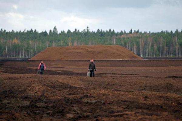 В некоторых отраслях производства Латвия опережает весь мир