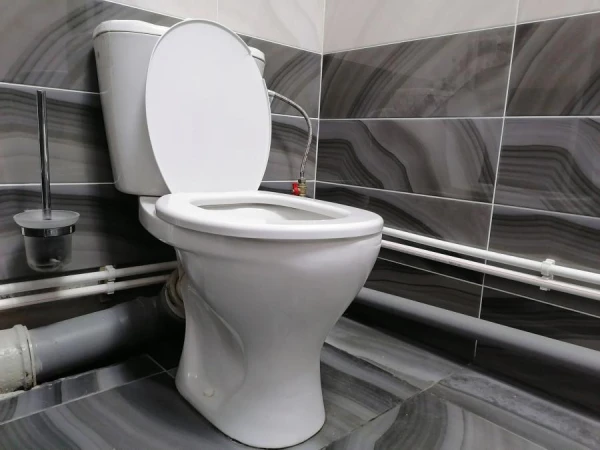 Изображение к статье: Почему туалет называют WC: история аббревиатуры из викторианской Англии