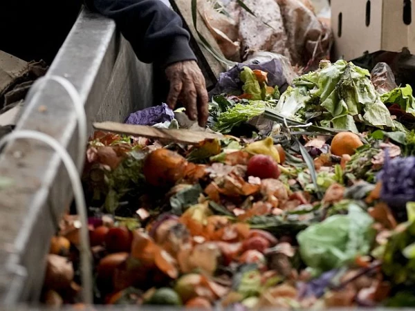 Изображение к статье: В жарком климате пищевые отходы быстро портятся.