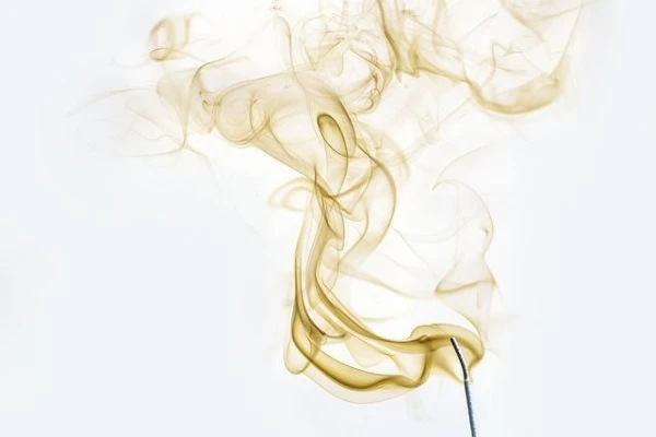 ГПСС беспокоит пассивность населения в установке детекторов дыма