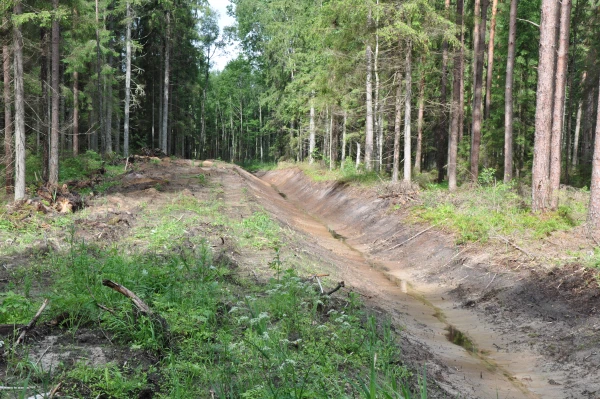 Изображение к статье: Готовь дамбы зимой: ковид и Путин мешают мелиораторам Латвии