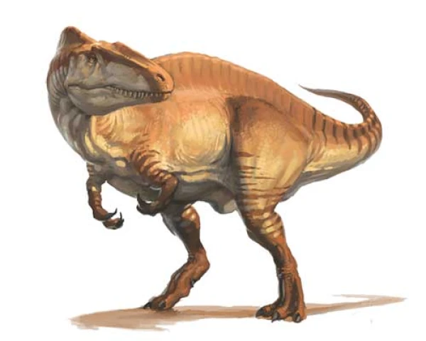 Изображение к статье: Как долго росли динозавры?