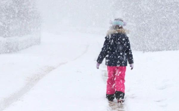 «Минус 20!» Трескучий мороз идет на Латвию - синоптики бьют в набат