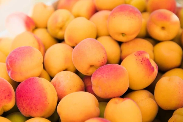 Всемирный день абрикоса: когда и почему этот фрукт считается полезным