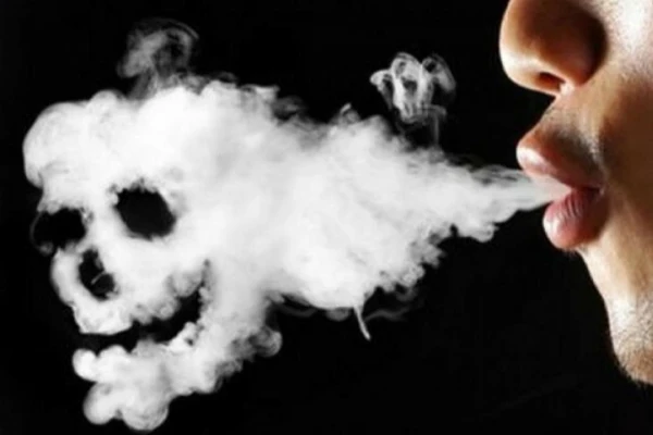 Влияние табачного дыма на домашних животных: результаты исследования