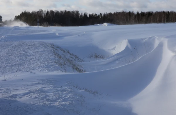 Изображение к статье: Сильнейший буран в пятницу ожидается в Латвии