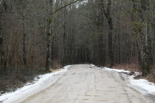 Изображение к статье: Участок Таллинского шоссе от Туи до Айнажи покрыт льдом