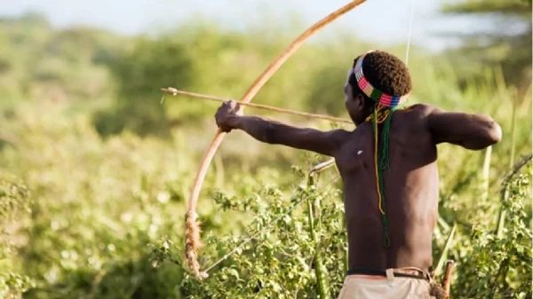 Ученые изучили яды, использовавшиеся африканскими охотниками 60 000 лет назад