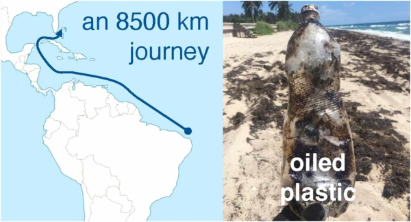 Изображение к статье: Долгий путь мусора.