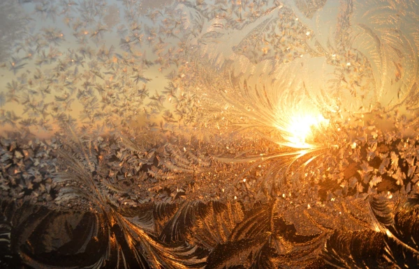 Бык холода мотает острыми рогами. О погоде в Якутии