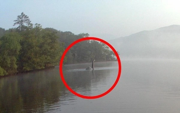 Изображение к статье: Главный охотник за лох-несским чудовищем вынес вердикт после 52 лет поисков