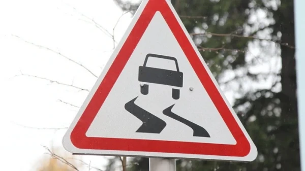 Как электромобили ведут себя на гололедице: что важно знать водителю