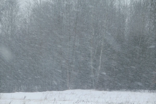 Изображение к статье: Вечером в среду в Курземе начнётся метель