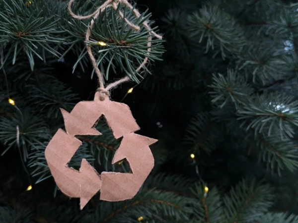 Эти якобы экологические привычки приносят больше вреда, чем пользы