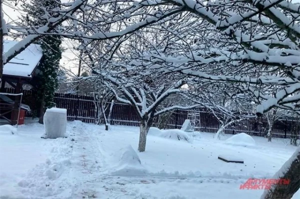 Изображение к статье: Календарь дачника: что делать каждый день для хорошего урожая