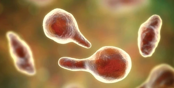 На МКС что-то странное произошло с вирусами: они стали более опасными