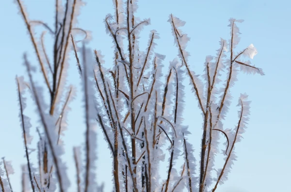 Изображение к статье: Синоптики рассказали о предстоящей погоде