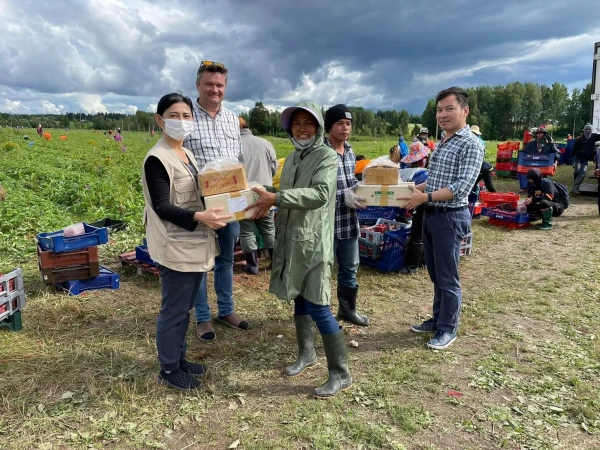 Гастарбайтеры начинали трудиться с энтузиазмом.