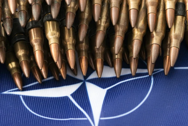 Раскрыты планы НАТО в Гренландии