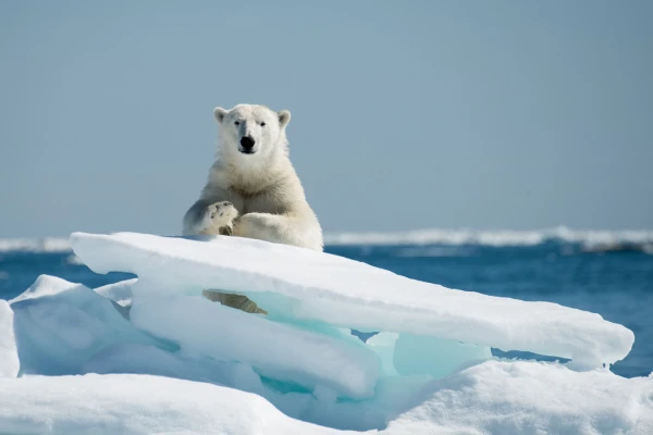 Латвия готова защищать Арктику от китайцев и русских – министр обороны