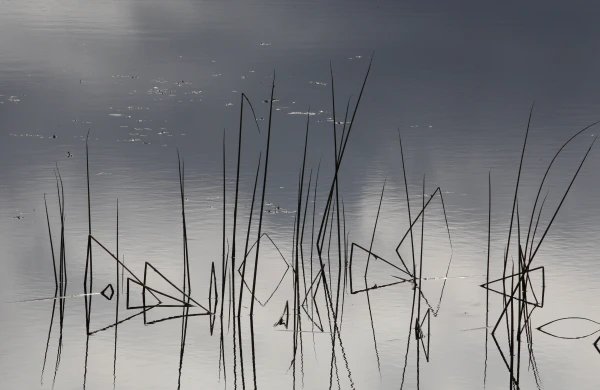 Изображение к статье: Для природного парка «Остров Доле» разработают новый план охраны природы