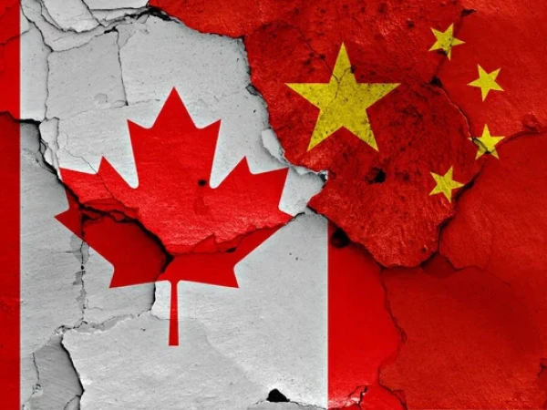 Изображение к статье: Ты – мне, я – тебе: канадский рапс разменяли на китайские электромобили