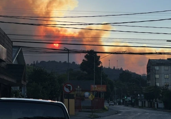 В лесных пожарах в Чили погибли 18 человек