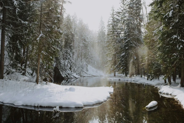 Этой речушке повезло — ее очистили. Фото Goodwater.lv