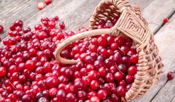 Изображение к статье: Продукты, способствующие предотвращению задержки жидкости в организме