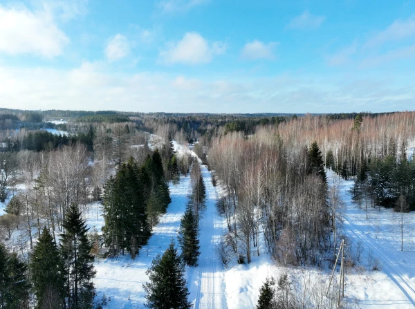 С момента зимнего солнцестояния продолжительность дня увеличилась уже на час