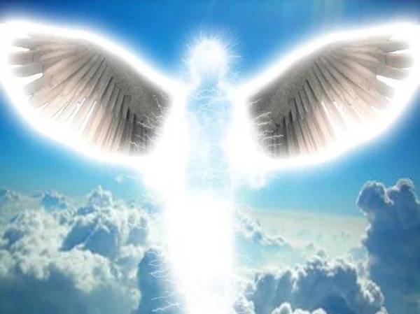 Ученый из Гарварда заявил, что нашел Рай и указал его местоположение