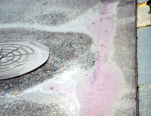 Платим за «божью росу»! Рижанка возмущена счётом от управляющей компании